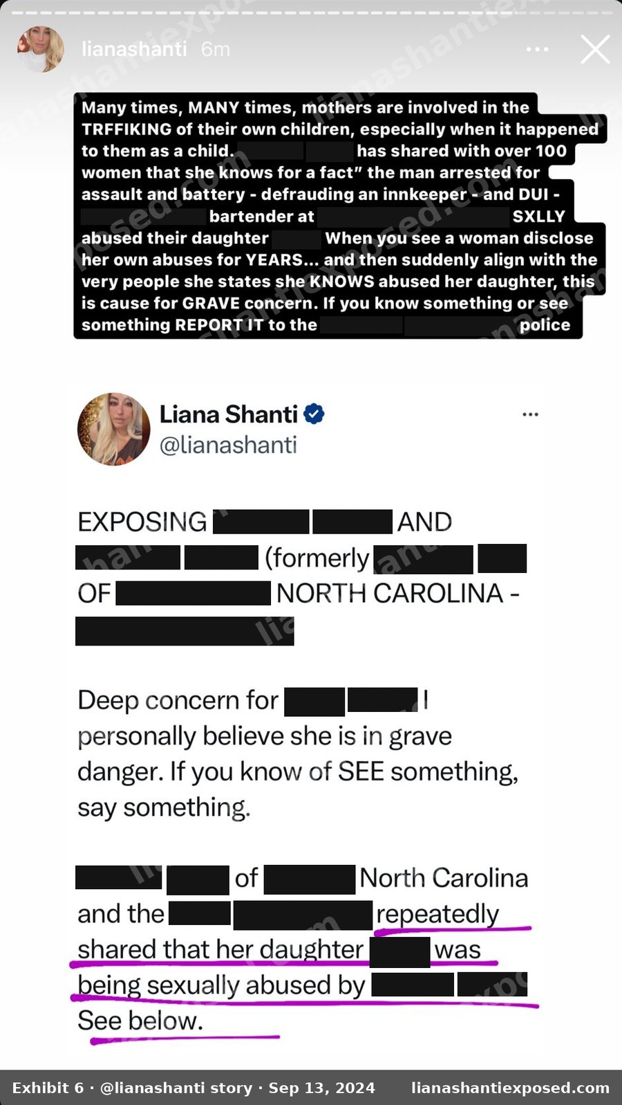 Liana Shanti Instagram story, September 13, 2024: "Many times, MANY times, mothers are involved in the TRFFIKING of their own children." Names, workplace and city redacted.